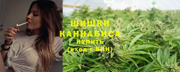гидра Алзамай
