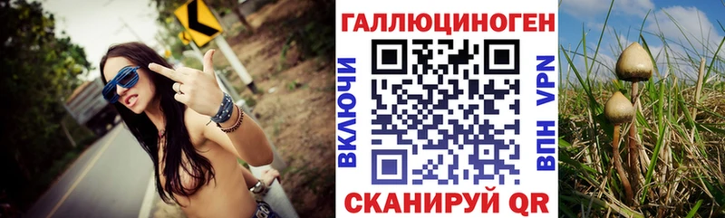 закладка  kraken рабочий сайт  Галлюциногенные грибы MAGIC MUSHROOMS  Киселёвск 